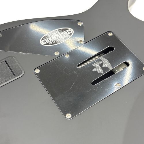 SCHECTER (シェクター) ギター DAMIEN PLATINUM-6 FR SBK DIAMOND SERIES W23052107