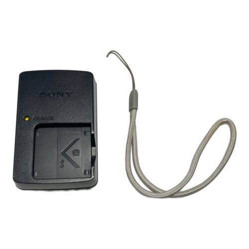 SONY (ソニー) コンパクトデジタルカメラ DSC-W570D 1610万画素 専用電池 SDXCカード対応 6012196