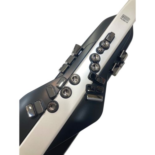 ROLAND (ローランド) デジタル管楽器 AE-20 Aerophone エアロフォン